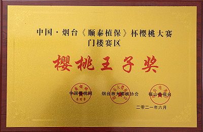 资质荣誉
