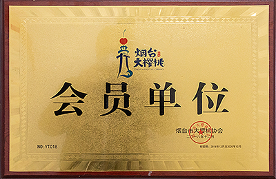 资质荣誉