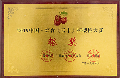 资质荣誉