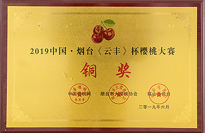 资质荣誉