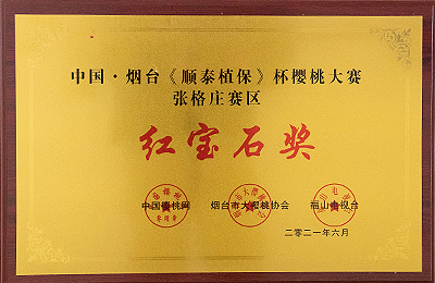 资质荣誉