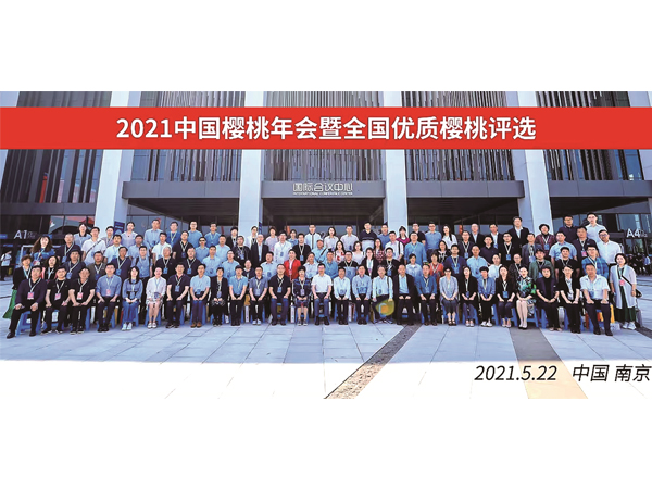 历年合影