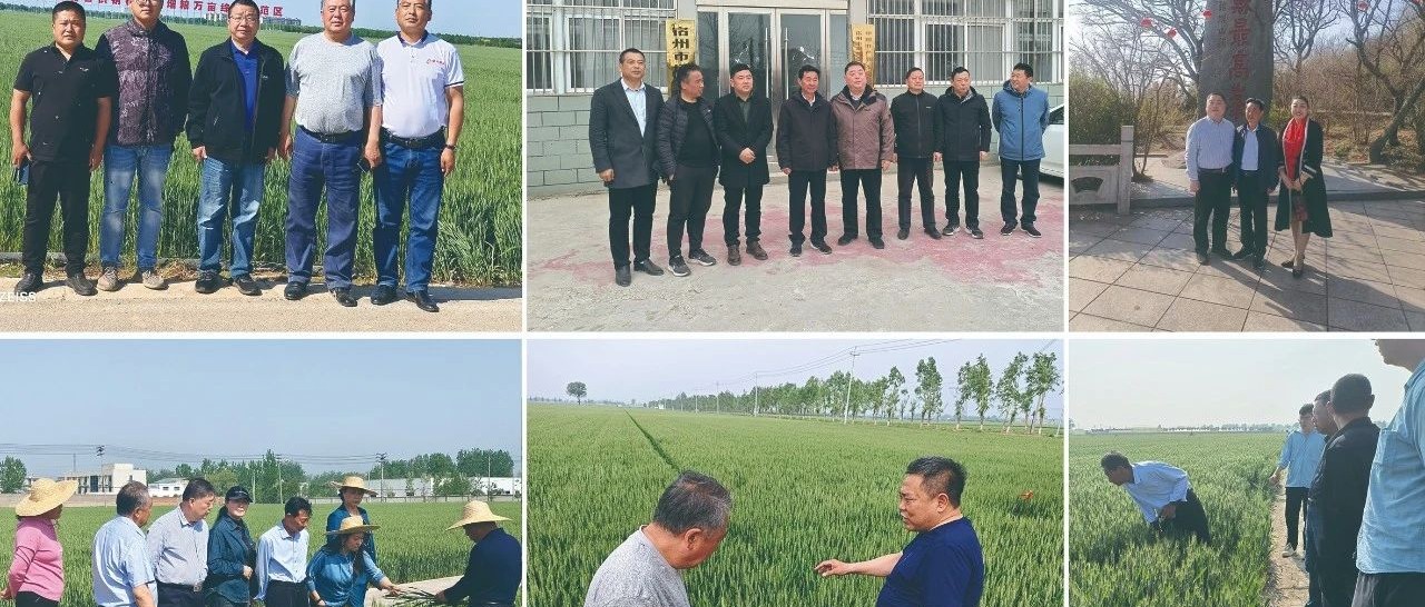 荣启康纪5月大事记