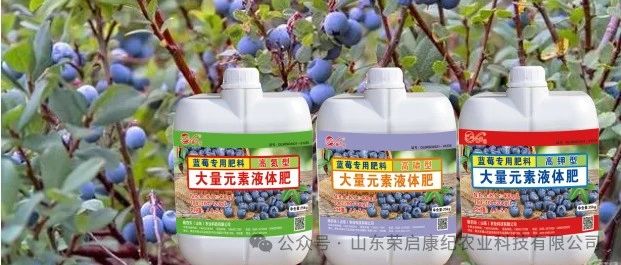 荣启康纪再出新品——蓝莓专用肥料大量元素液体肥