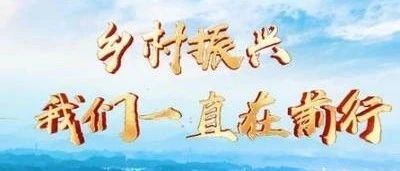 乡村振兴，我们一直在前行——高端农业种植技术推广会火热进行中
